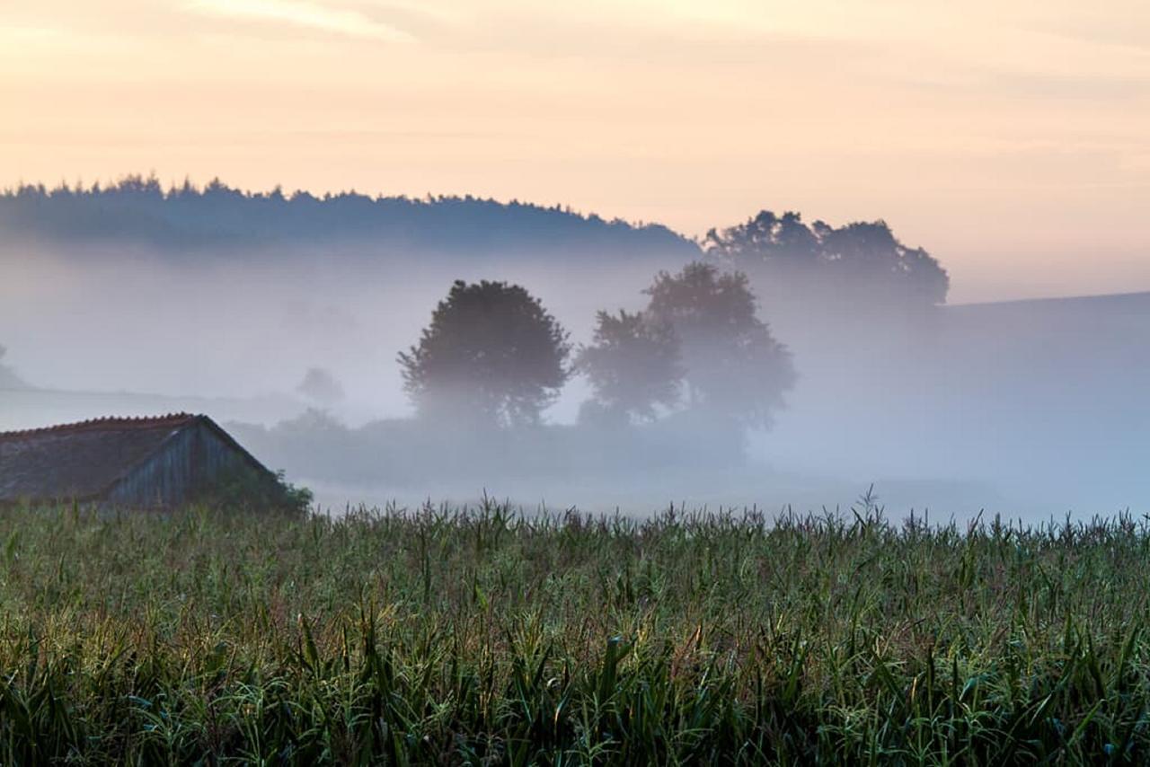 Muellner-Hof Leilighet Schwarzach bei Nabburg Eksteriør bilde